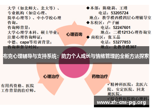 布克心理辅导与支持系统：助力个人成长与情绪管理的全新方法探索