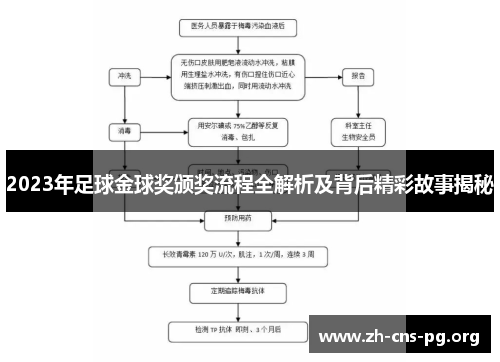 2023年足球金球奖颁奖流程全解析及背后精彩故事揭秘
