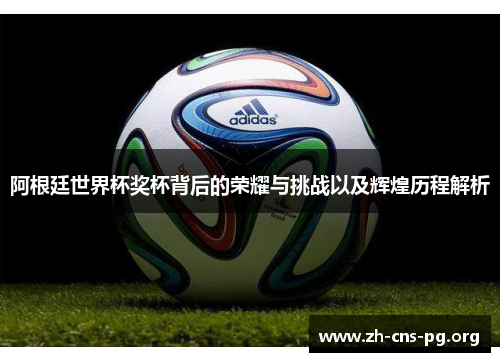 阿根廷世界杯奖杯背后的荣耀与挑战以及辉煌历程解析